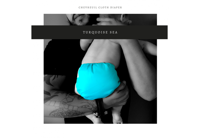 Couche à poche Bébé D Lux- Chevreuil- Turquoise- snap